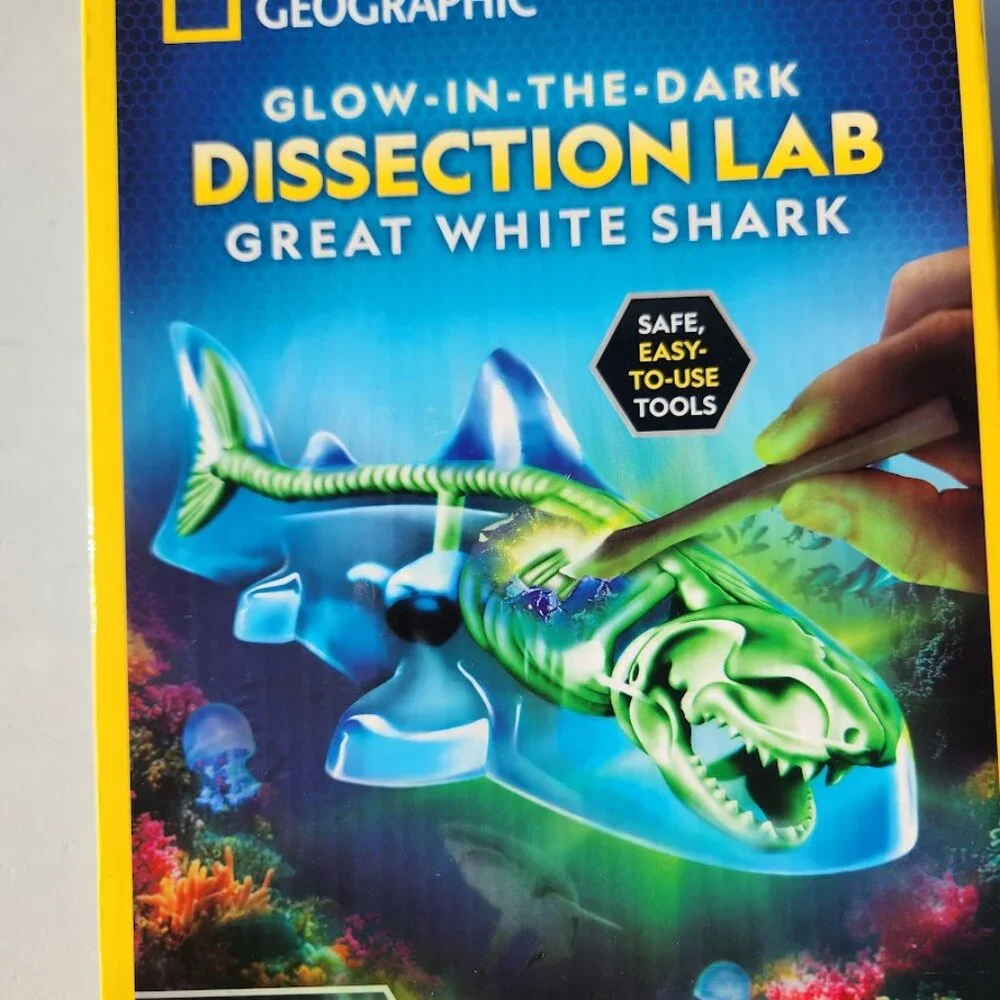National Geographic Shark Dissection Kit Glow in The Dark Great White Shark Anat